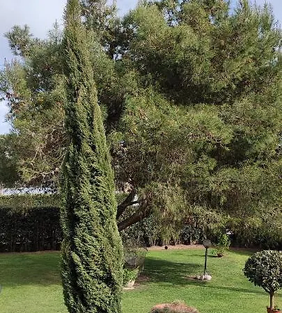 Zara Villa Terracina